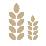 Crop Insurance