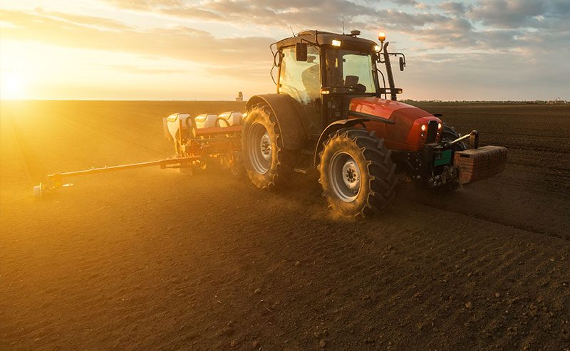 Tractor Planting